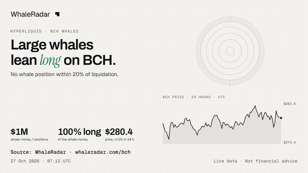BCH 레이더와 24시간 가격, 기사에 바로 쓸 수 있습니다.