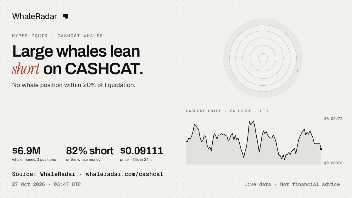 The CASHCAT radar with the price over 24 hours, ready for your story.