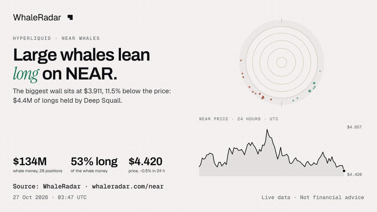 The NEAR radar with the price over 24 hours, ready for your story.