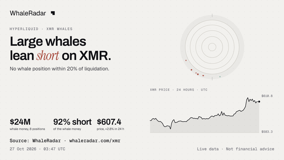 XMR 雷达与 24 小时价格走势,可直接用于你的报道。