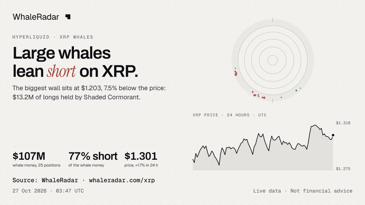 The XRP radar with the price over 24 hours, ready for your story.
