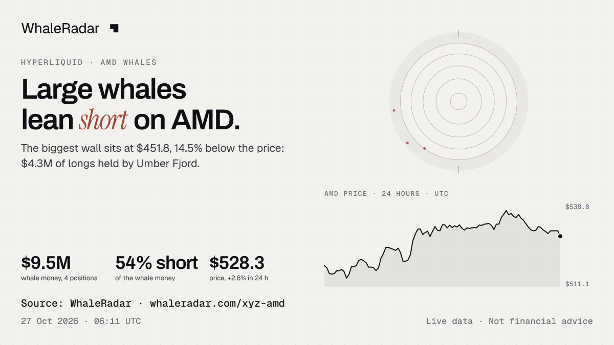 AMD 레이더와 24시간 가격, 기사에 바로 쓸 수 있습니다.