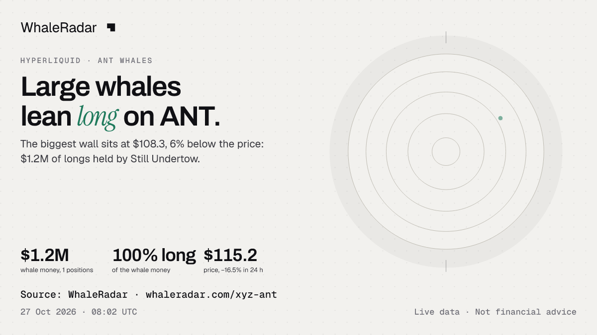 ANT 雷达与 24 小时价格走势,可直接用于你的报道。
