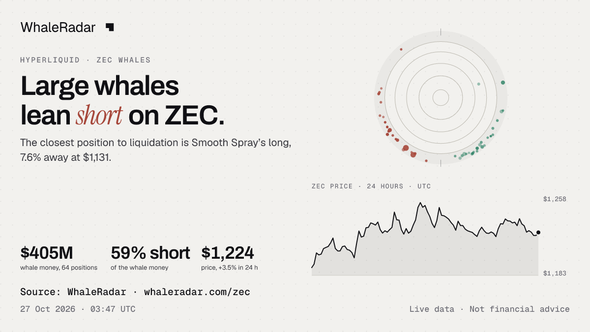 The ZEC radar with the price over 24 hours, ready for your story.