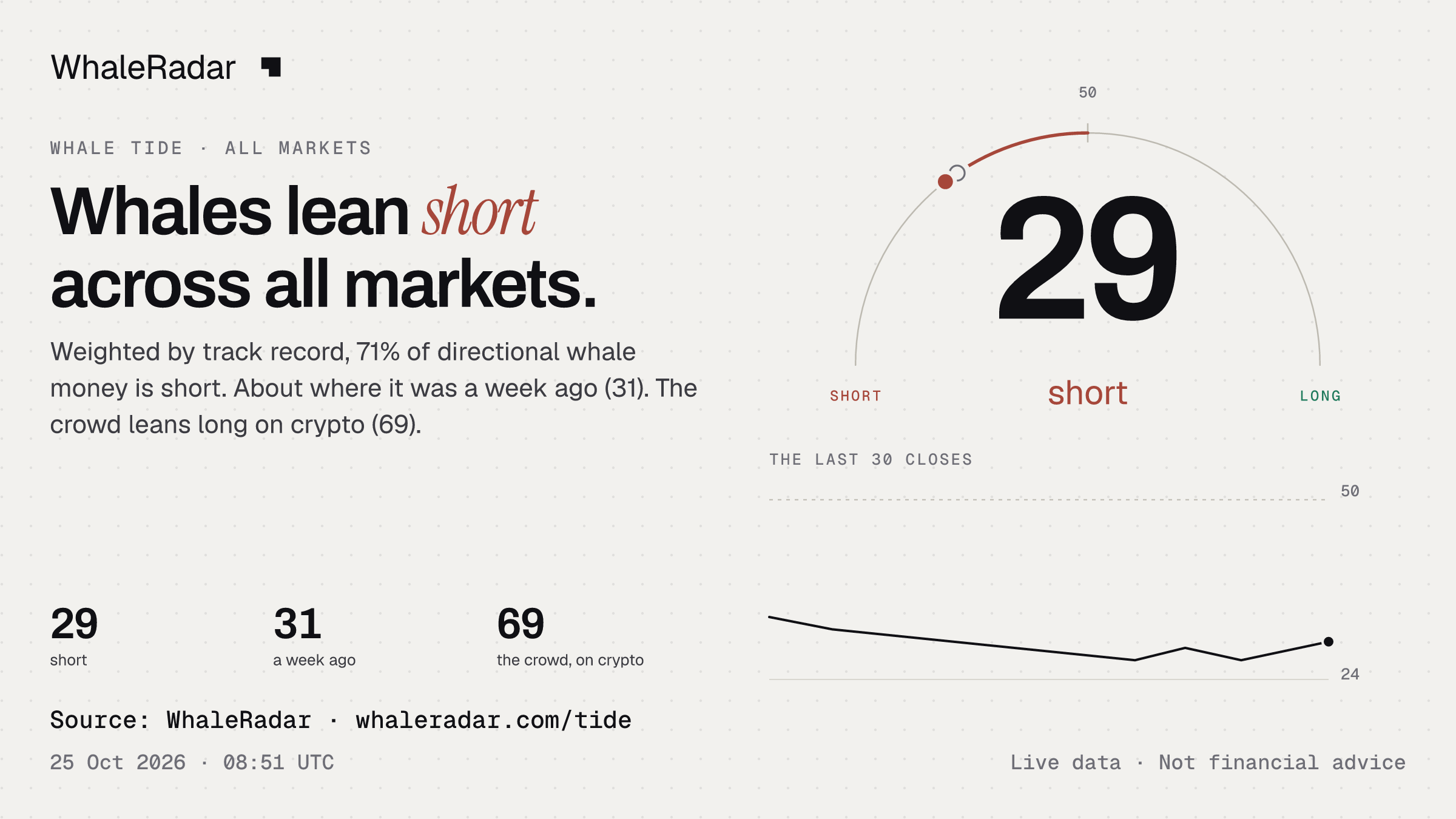 Whales lean short across all markets.