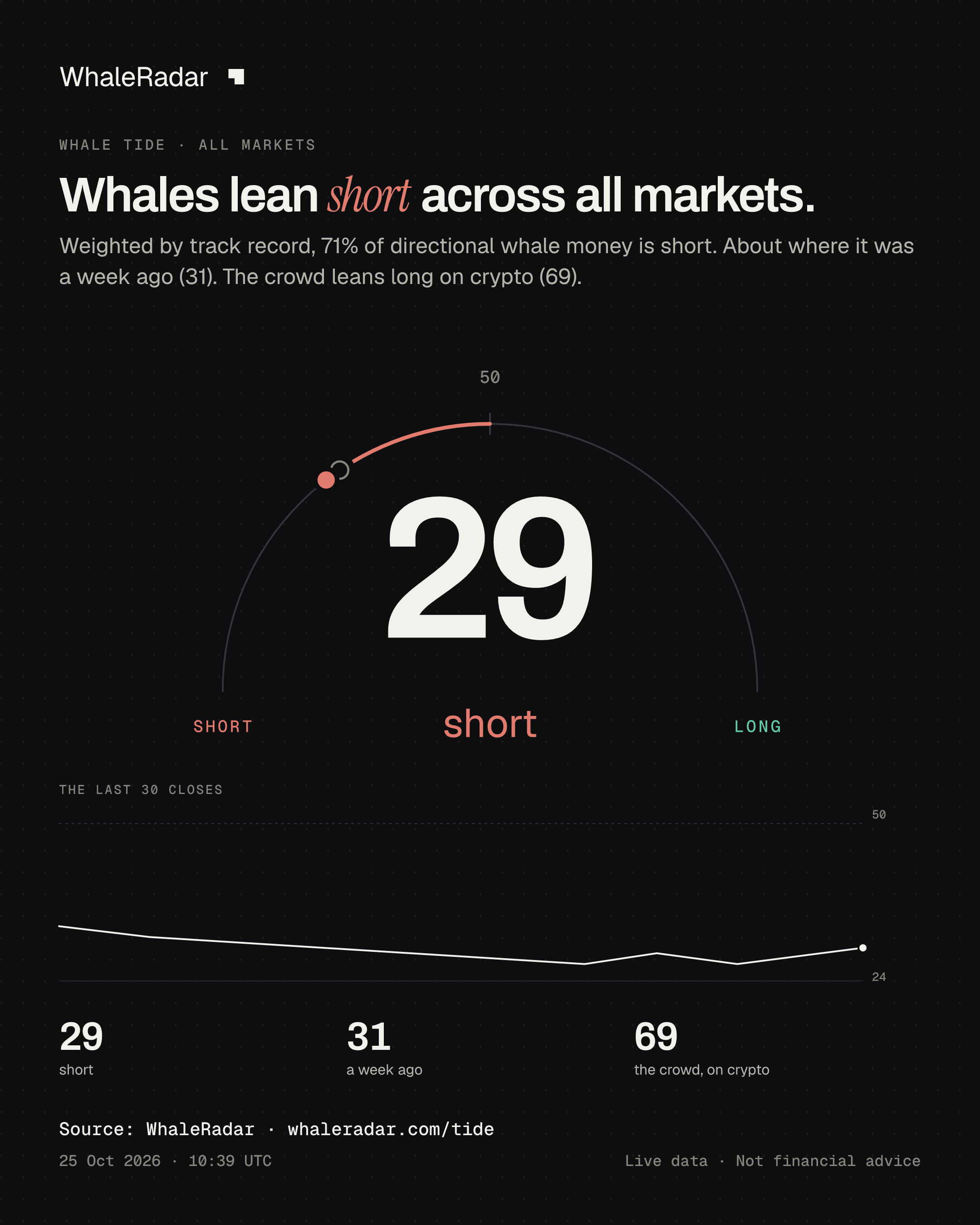 Whales lean short across all markets.