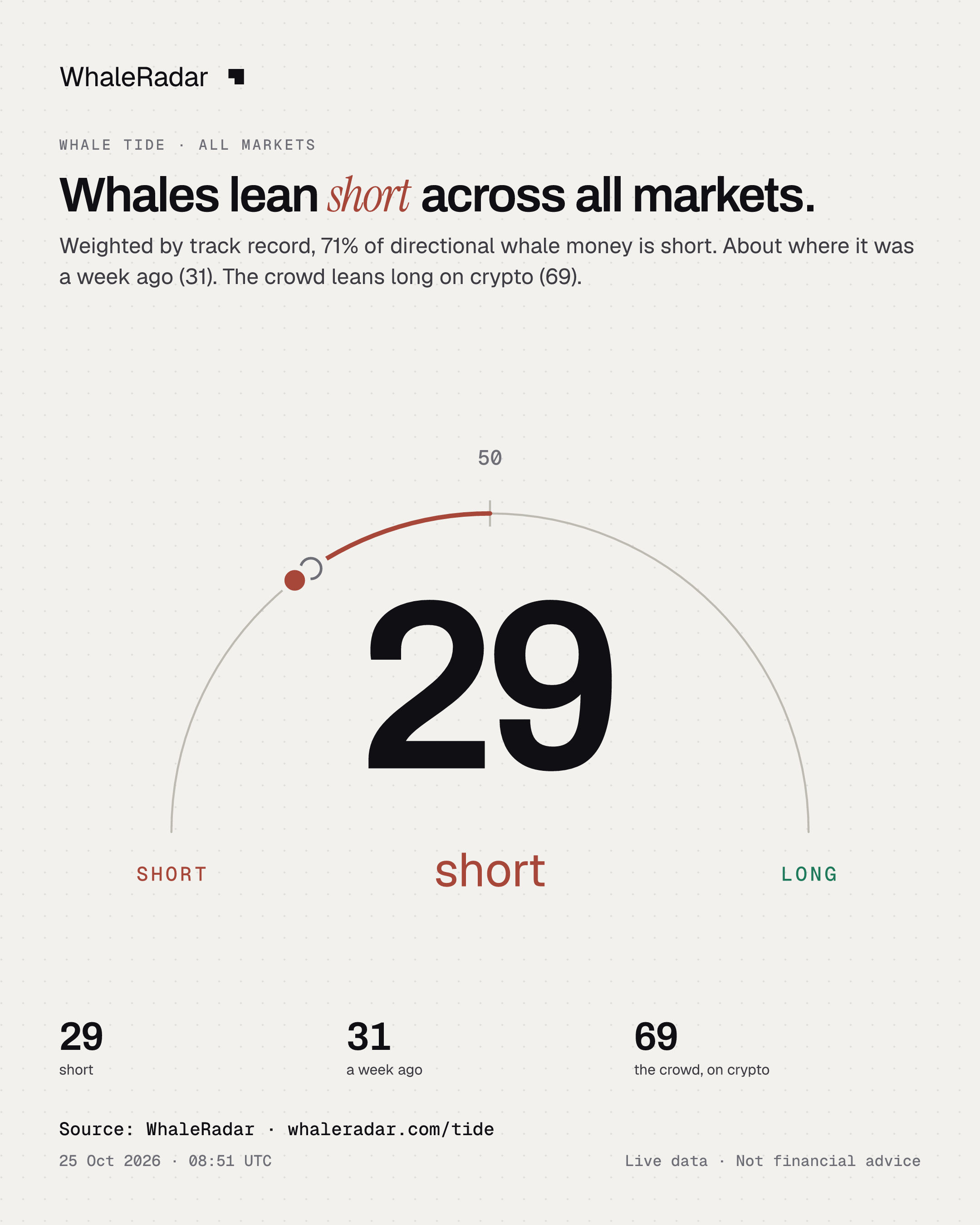 Whales lean short across all markets.