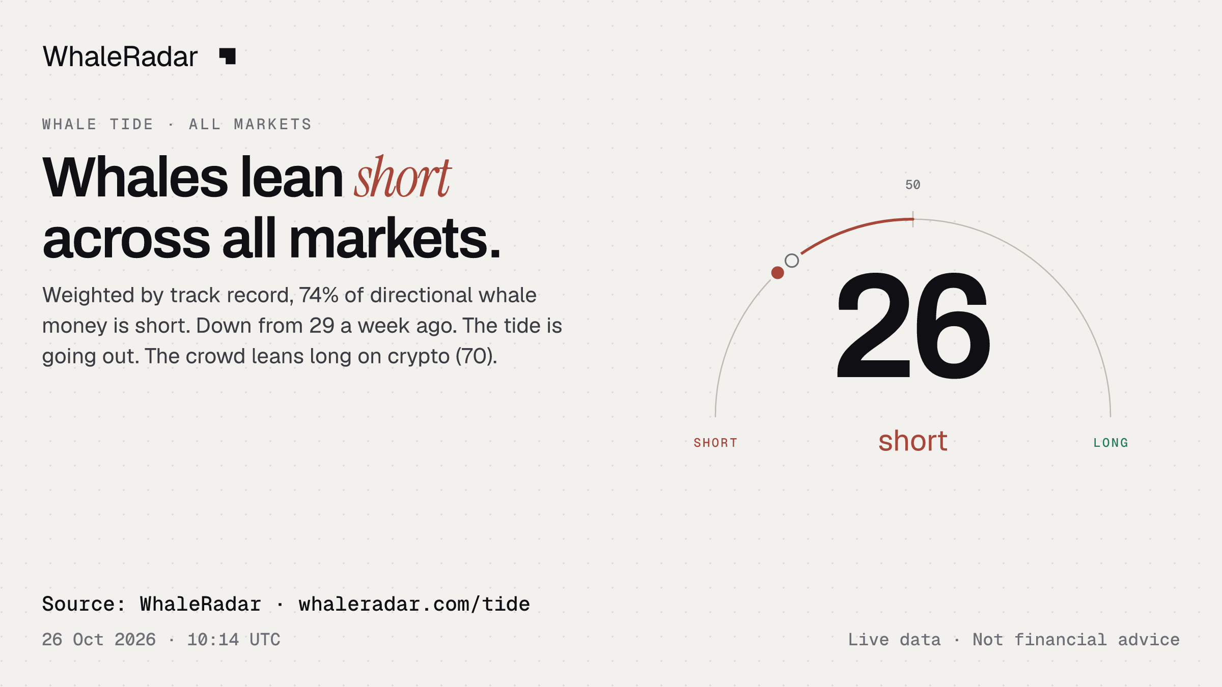 Whales lean short across all markets.