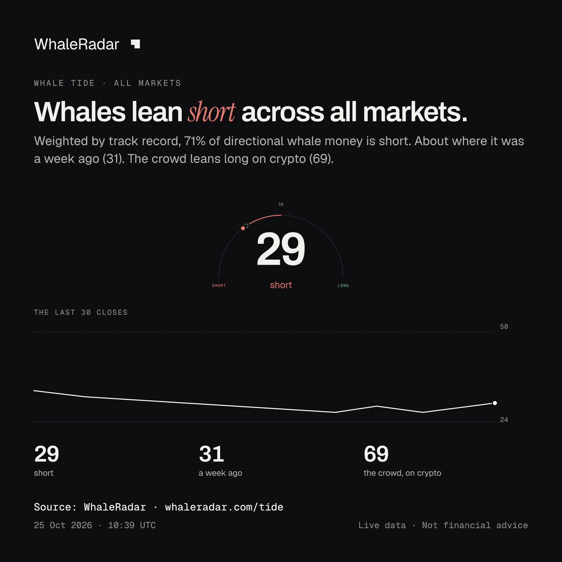 Whales lean short across all markets.