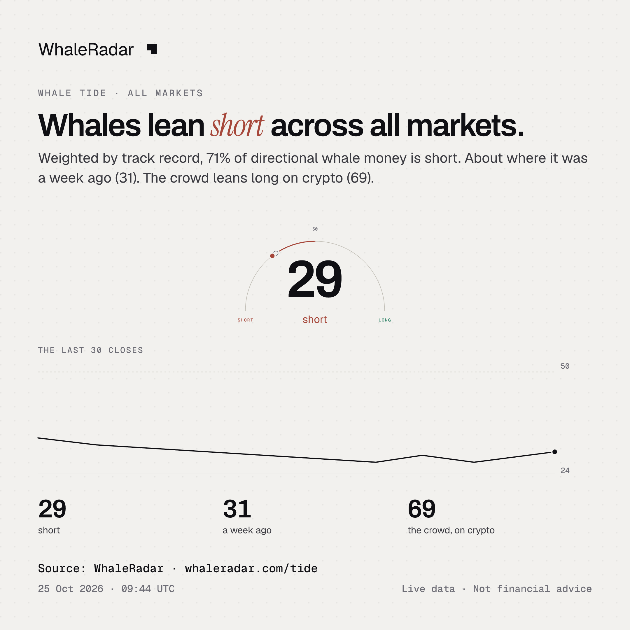 Whales lean short across all markets.