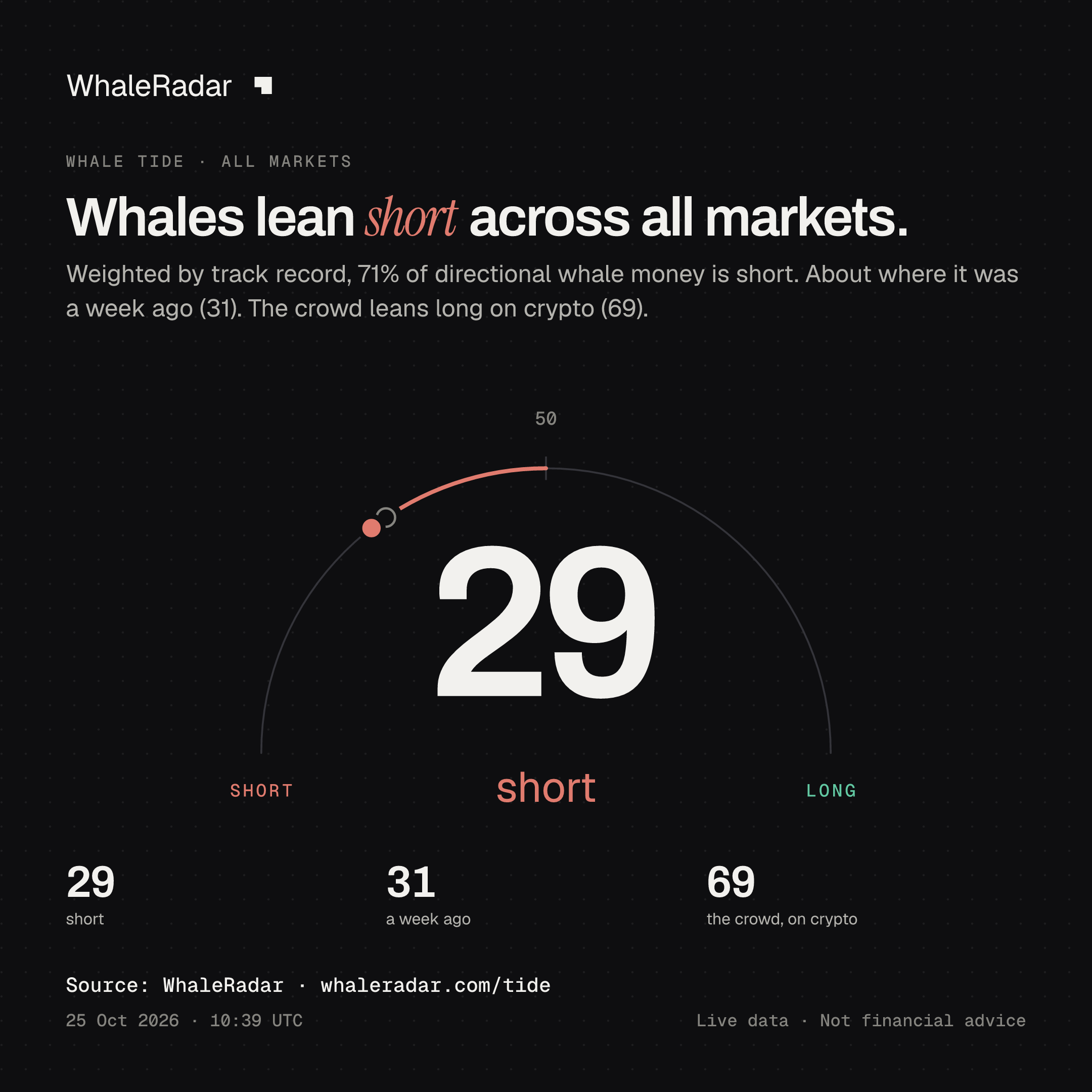 Whales lean short across all markets.