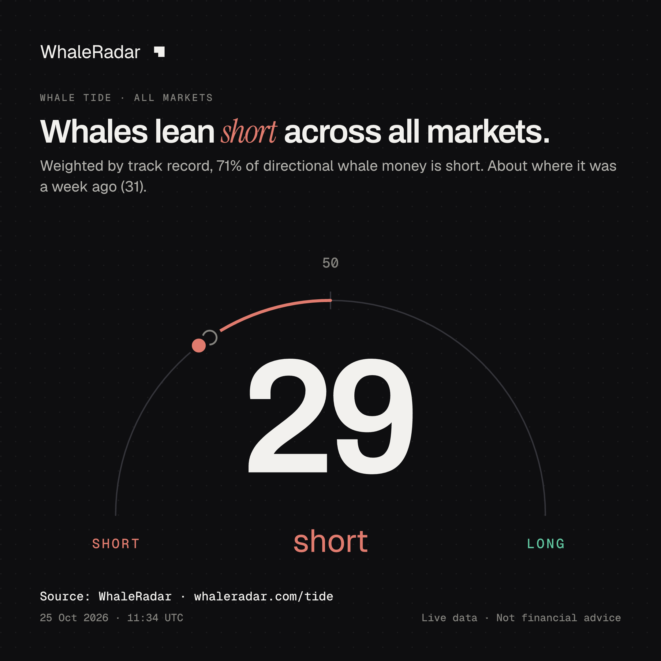 Whales lean short across all markets.