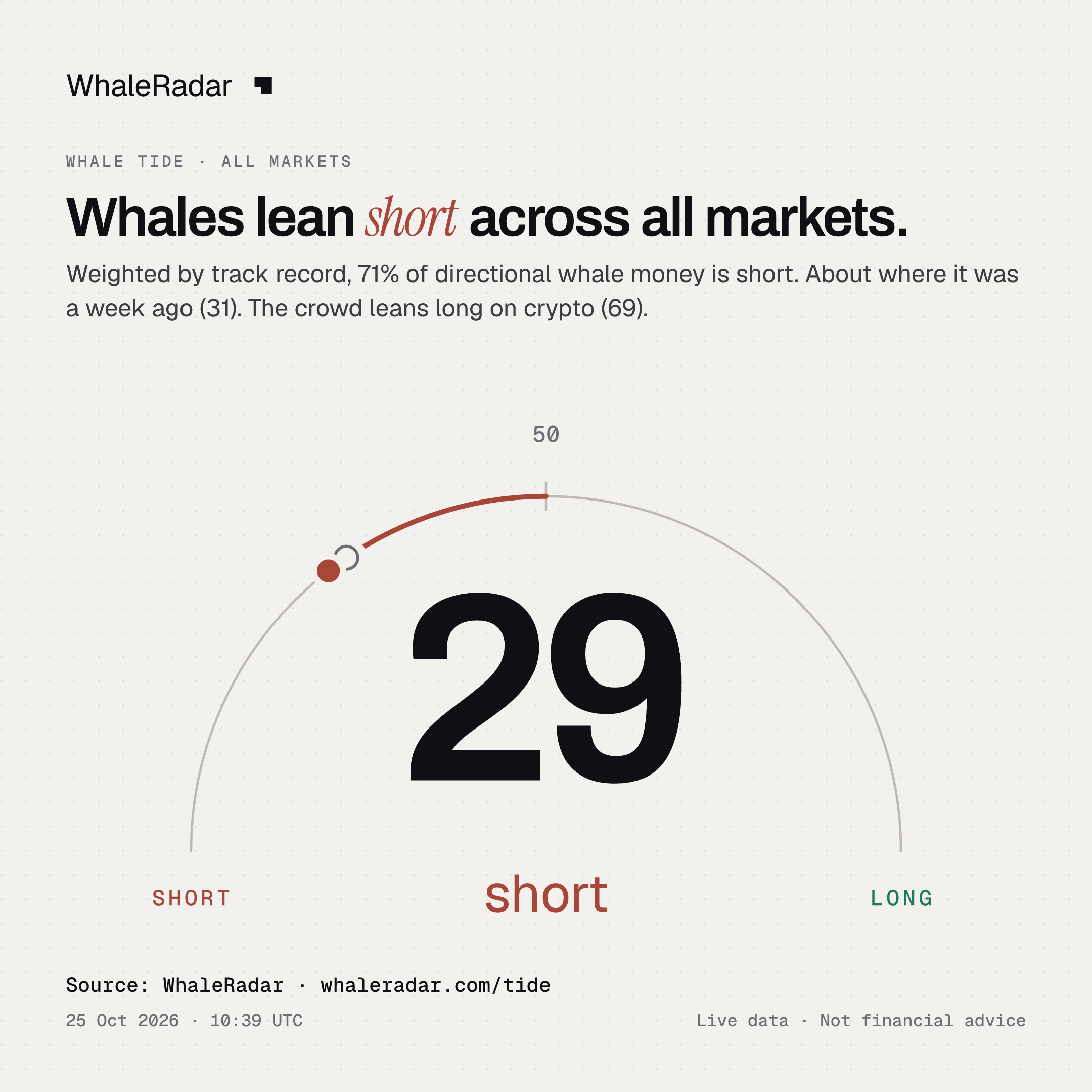 Whales lean short across all markets.