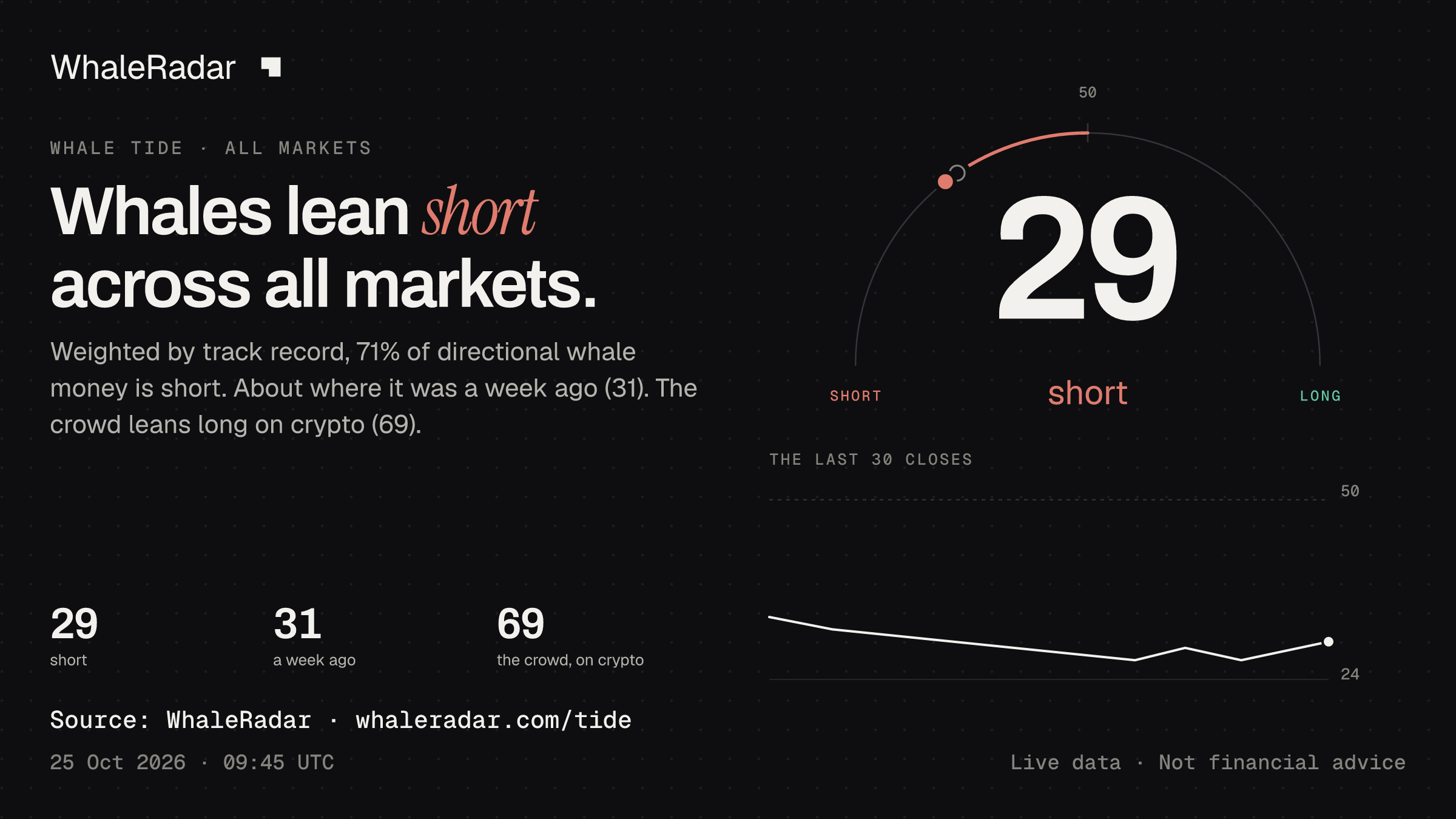 Whales lean short across all markets.