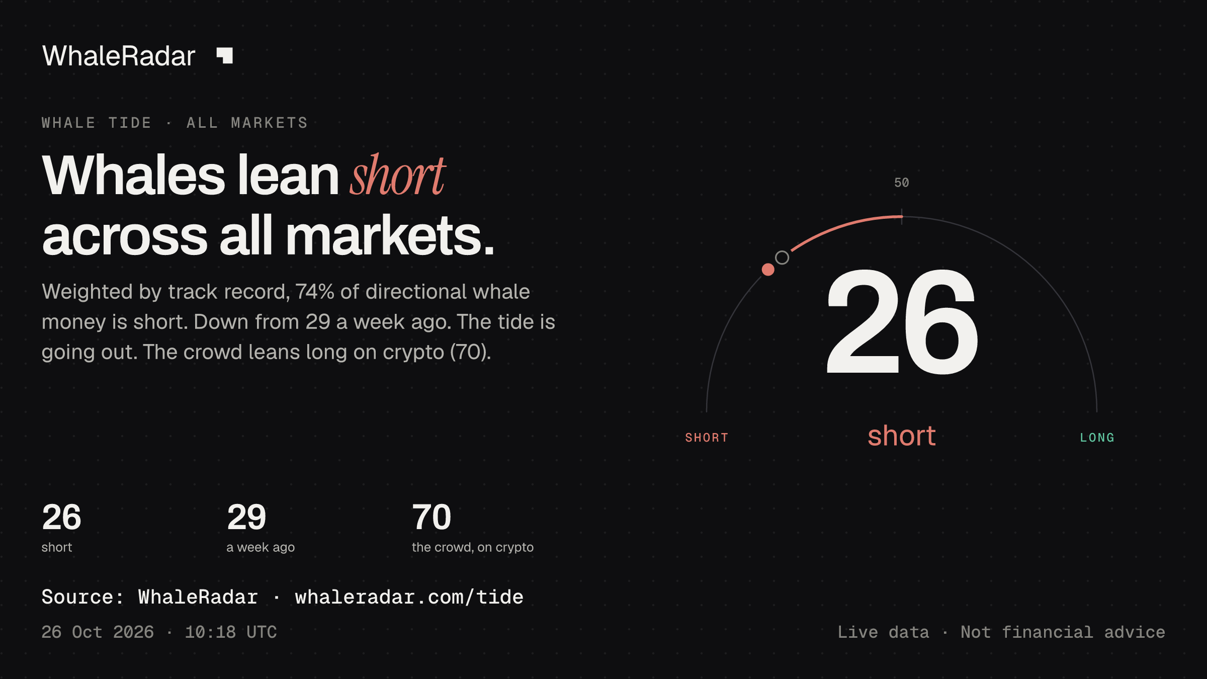 Whales lean short across all markets.