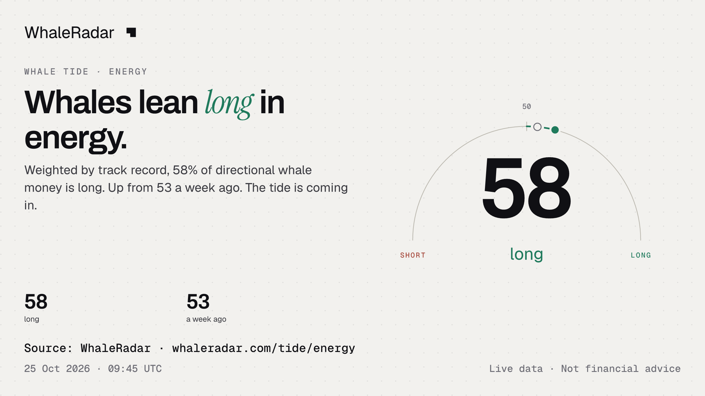 Whales lean long in energy.