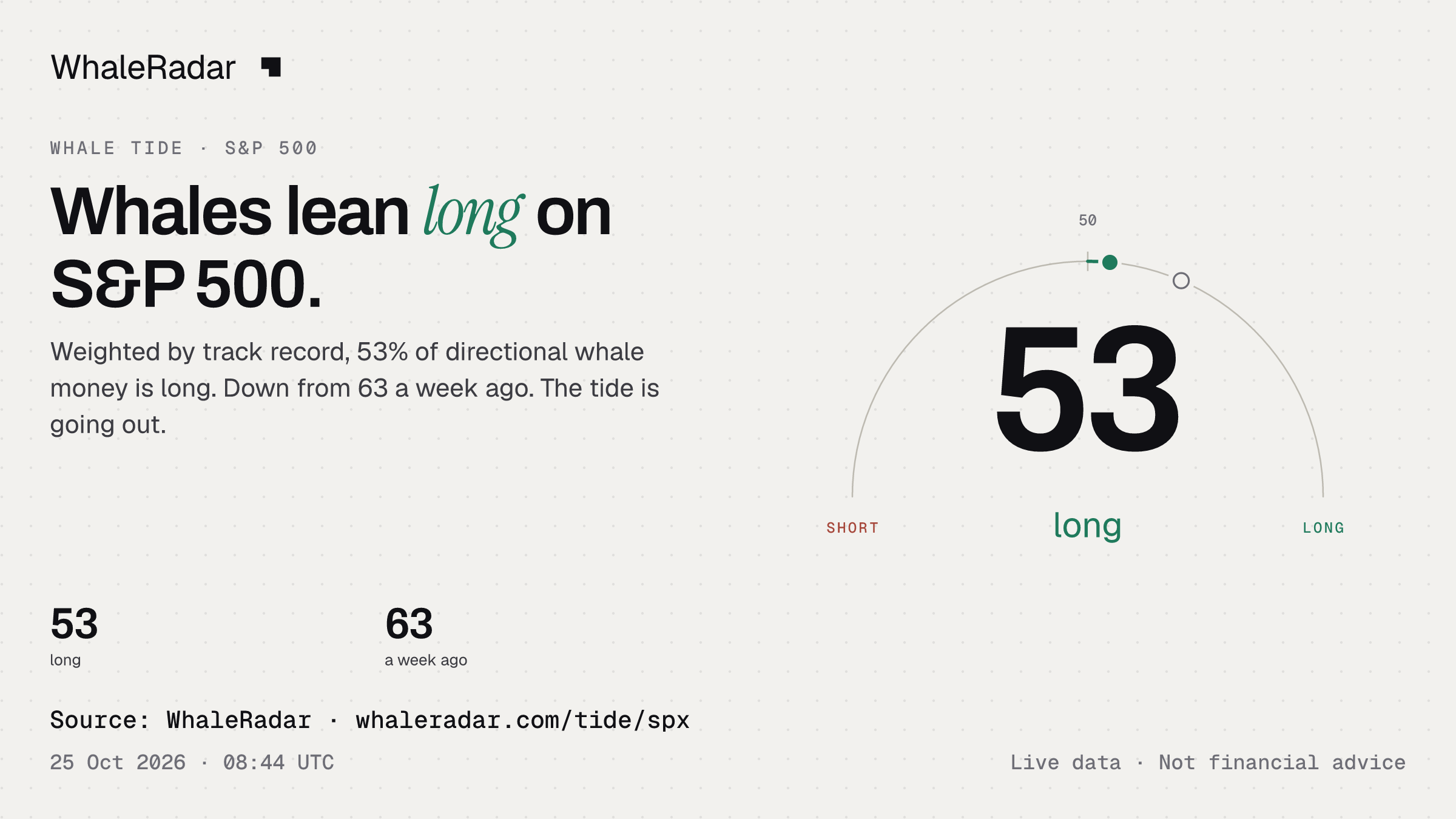 Whales lean long on S&P 500.