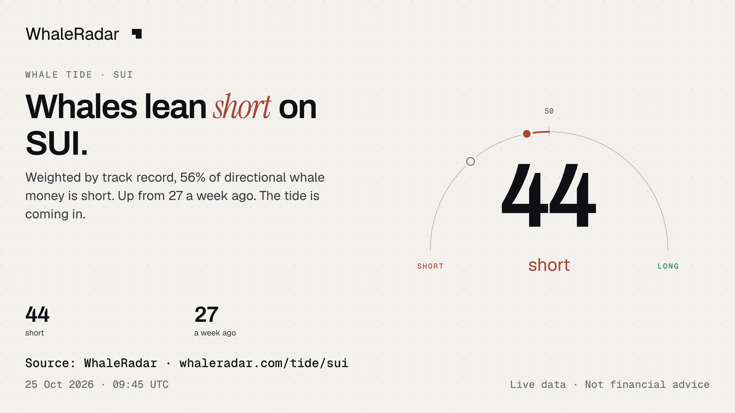 Whales lean short on SUI.