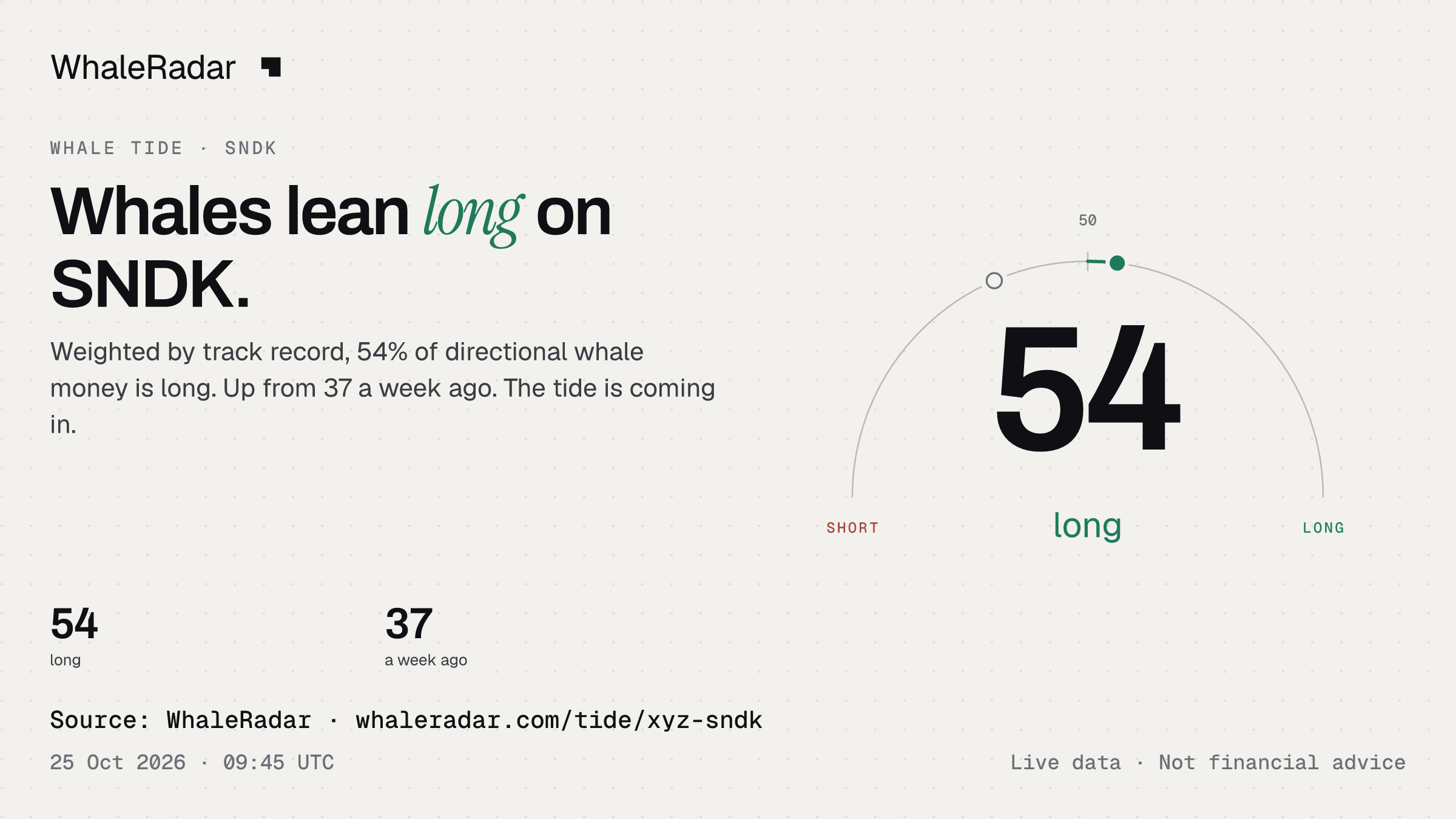 Whales lean long on SNDK.
