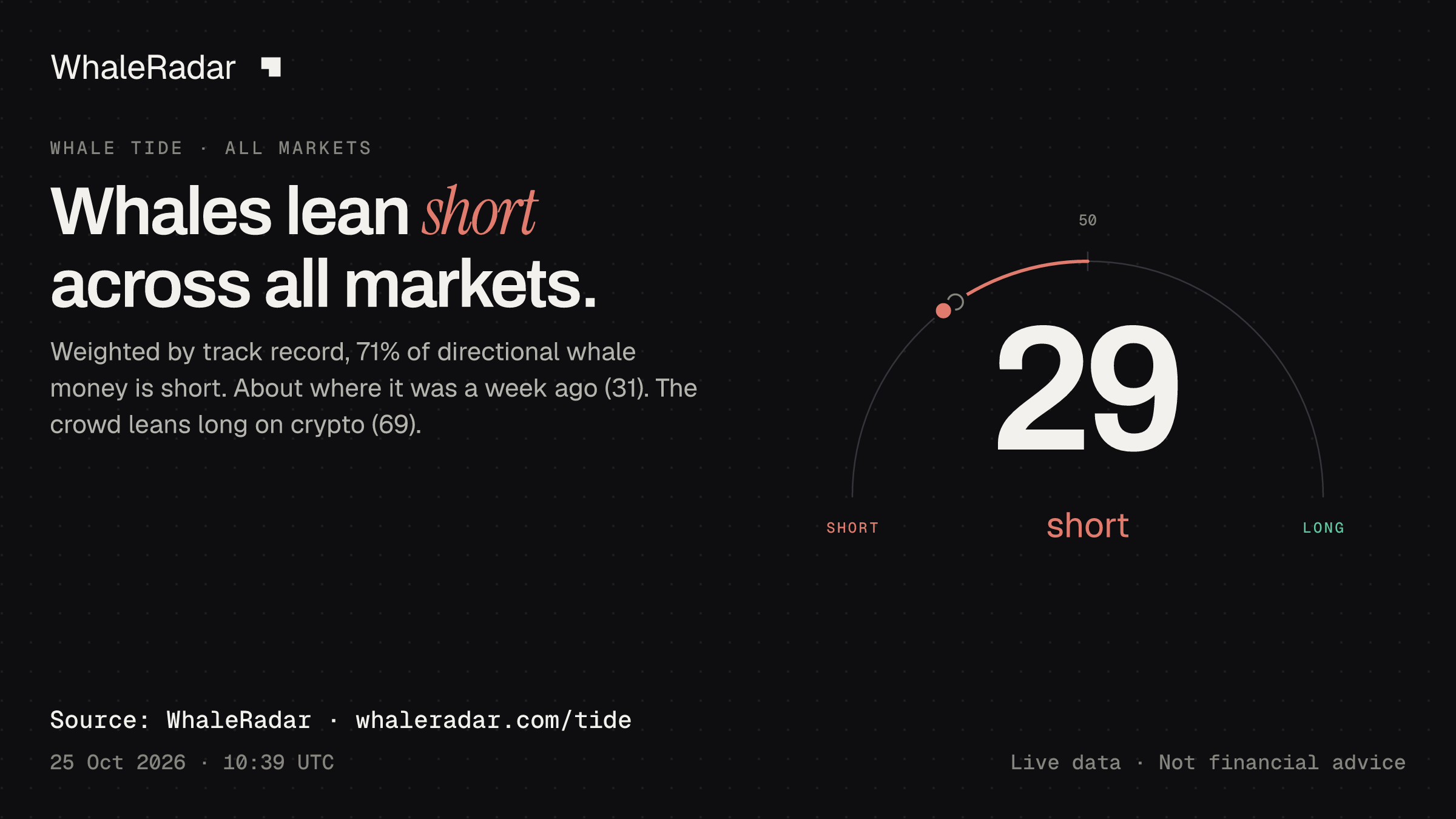 Whales lean short across all markets.