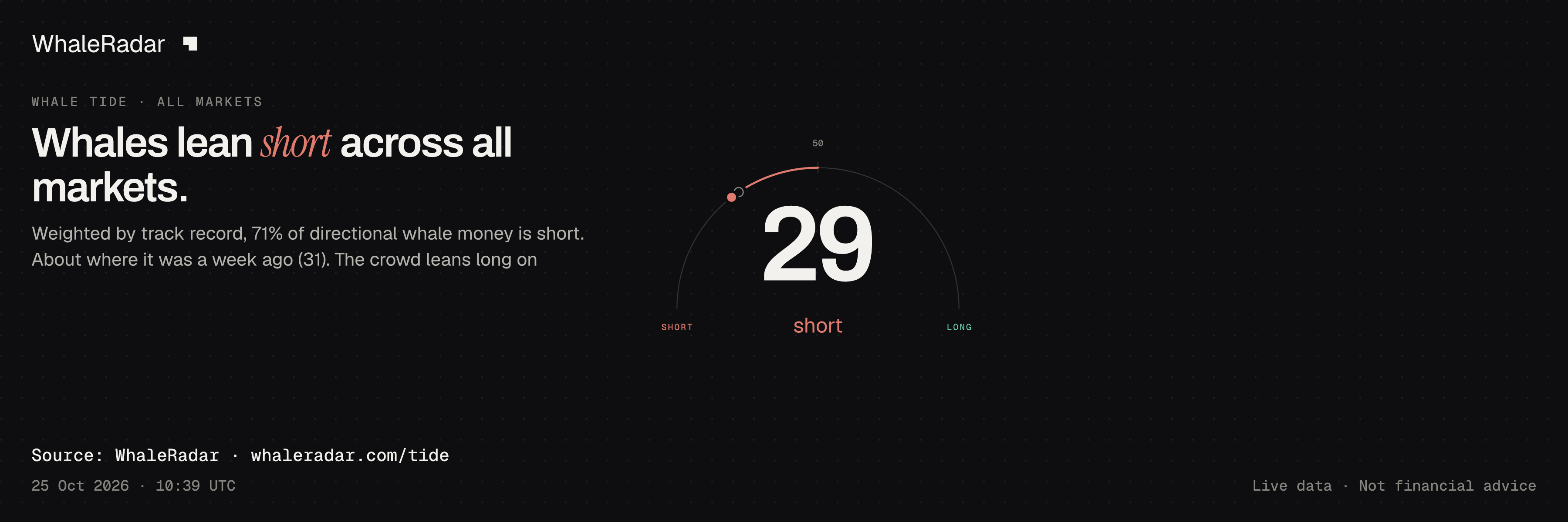 Whales lean short across all markets.