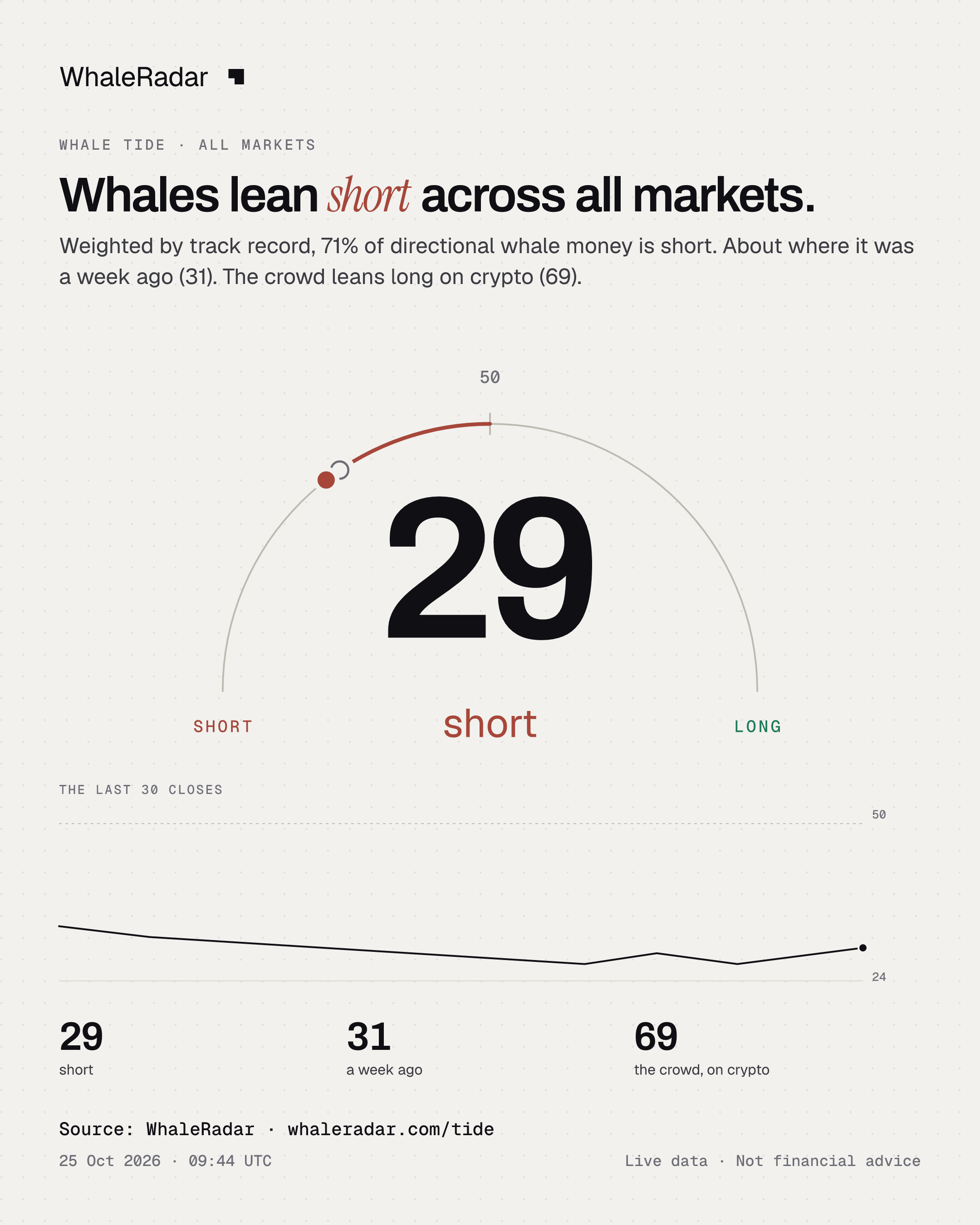 Whales lean short across all markets.