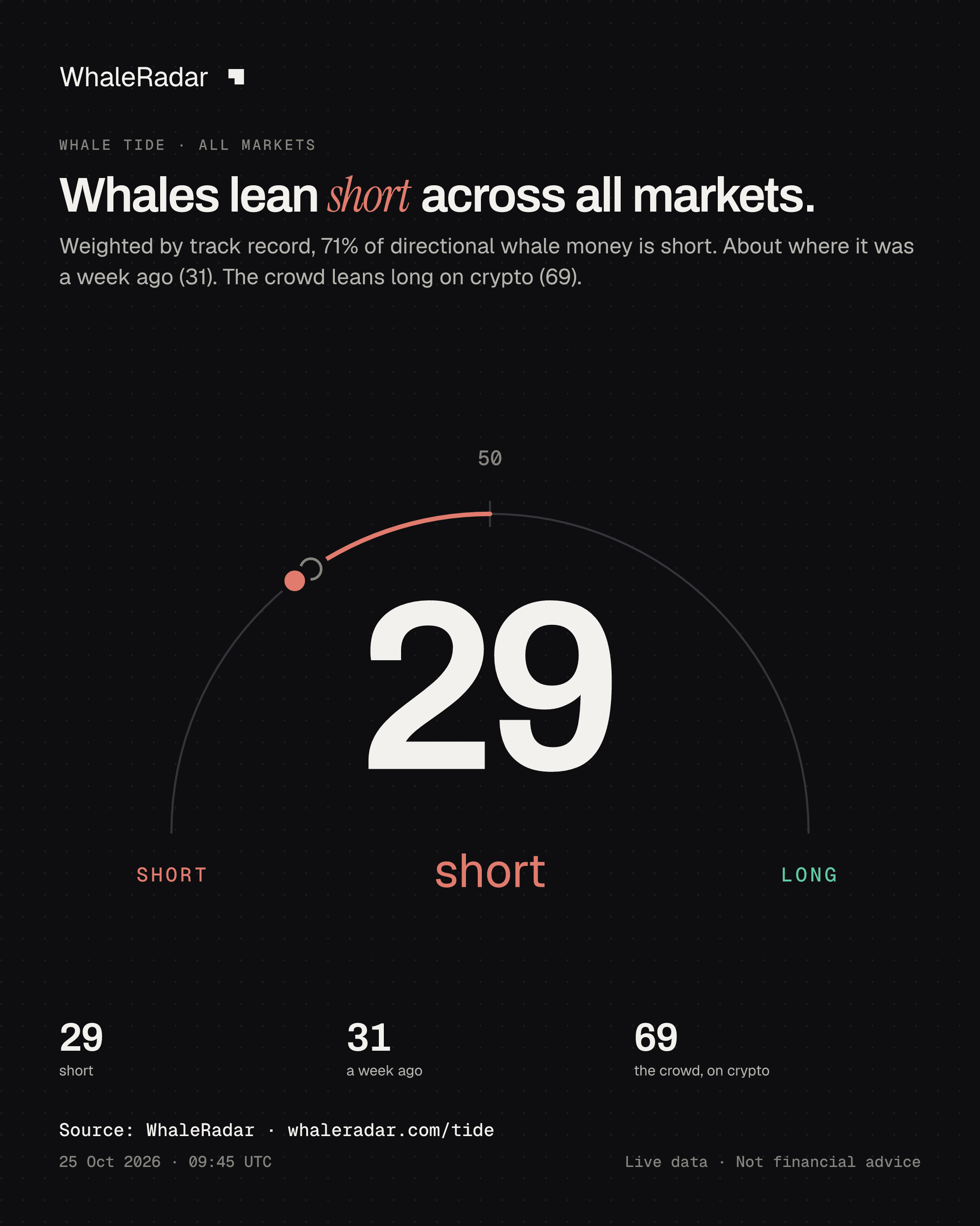 Whales lean short across all markets.