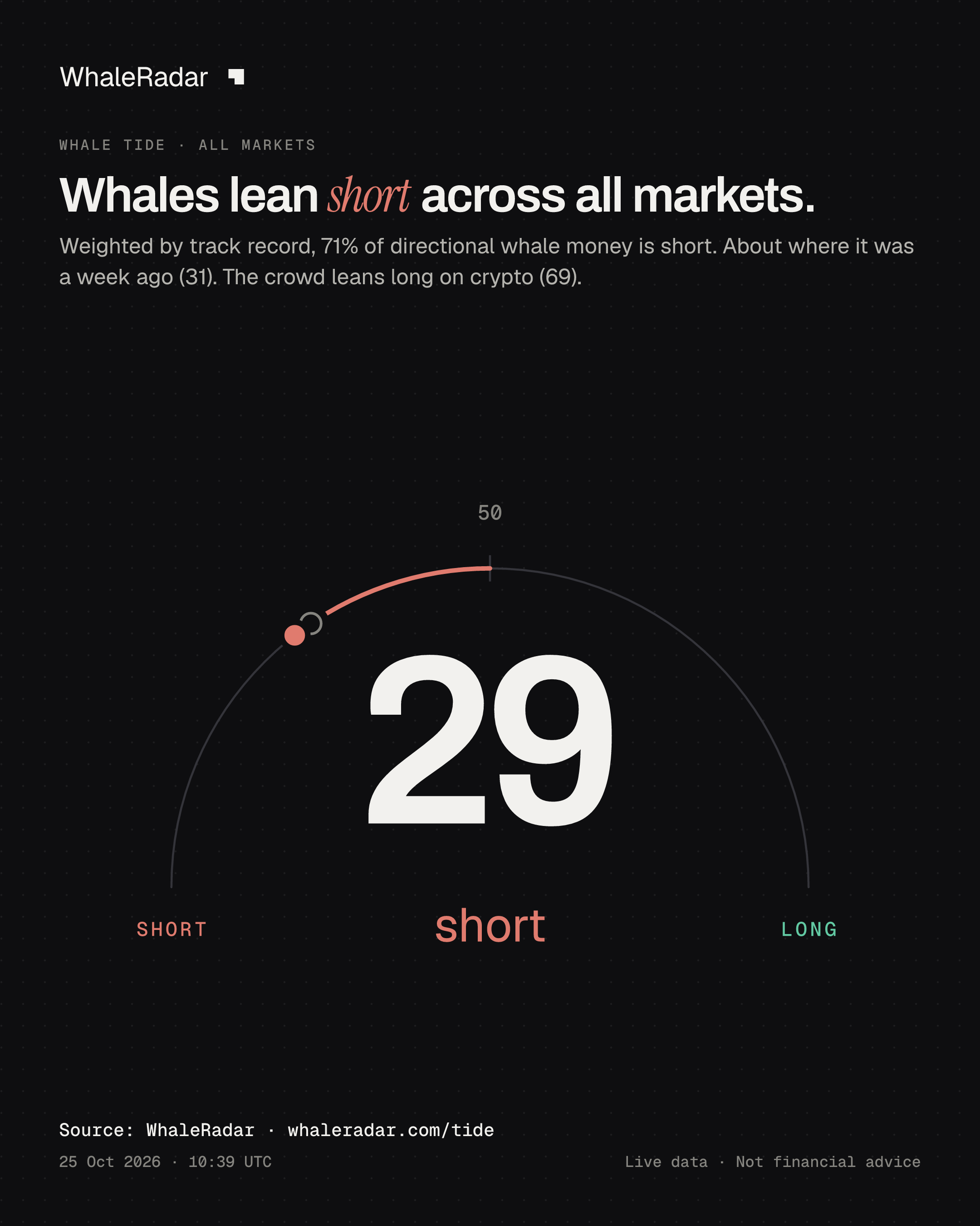 Whales lean short across all markets.