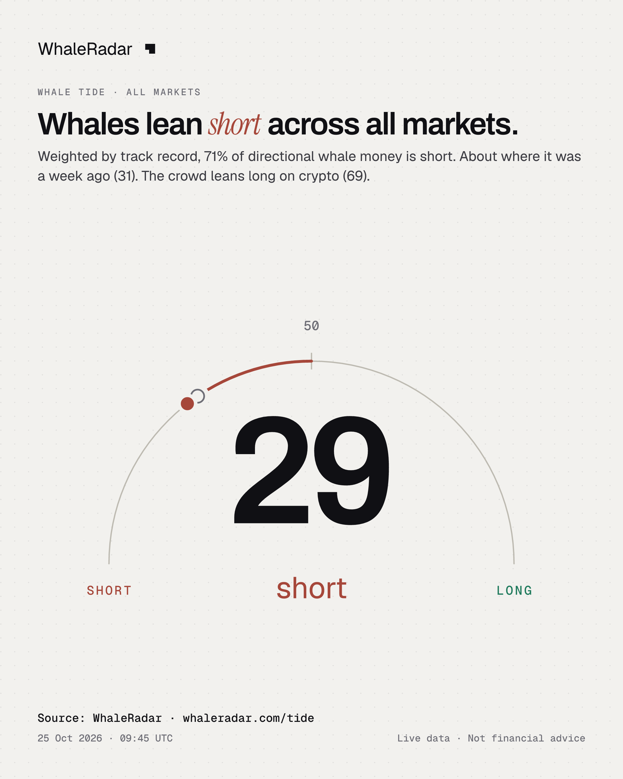 Whales lean short across all markets.