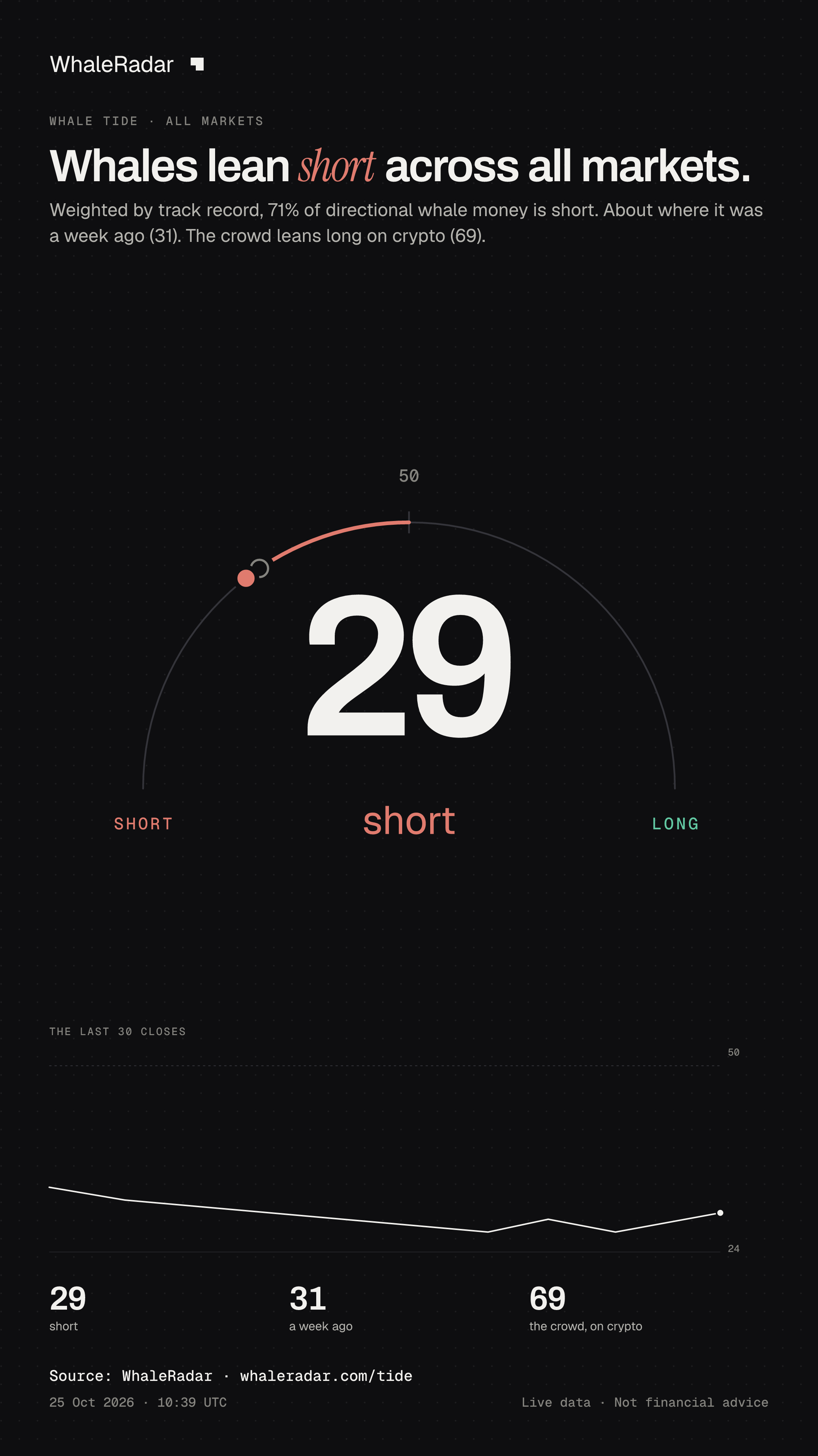 Whales lean short across all markets.