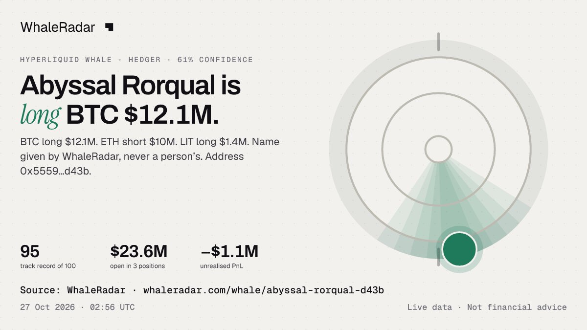 Abyssal Rorqual: its glyph, its record and its largest positions, ready for your story.