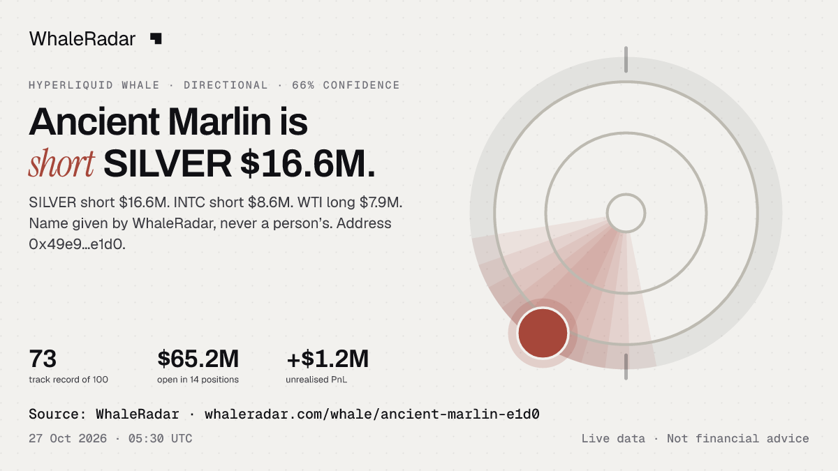 Ancient Marlin: 글리프, 트랙 레코드, 가장 큰 포지션, 기사에 바로 쓸 수 있습니다.
