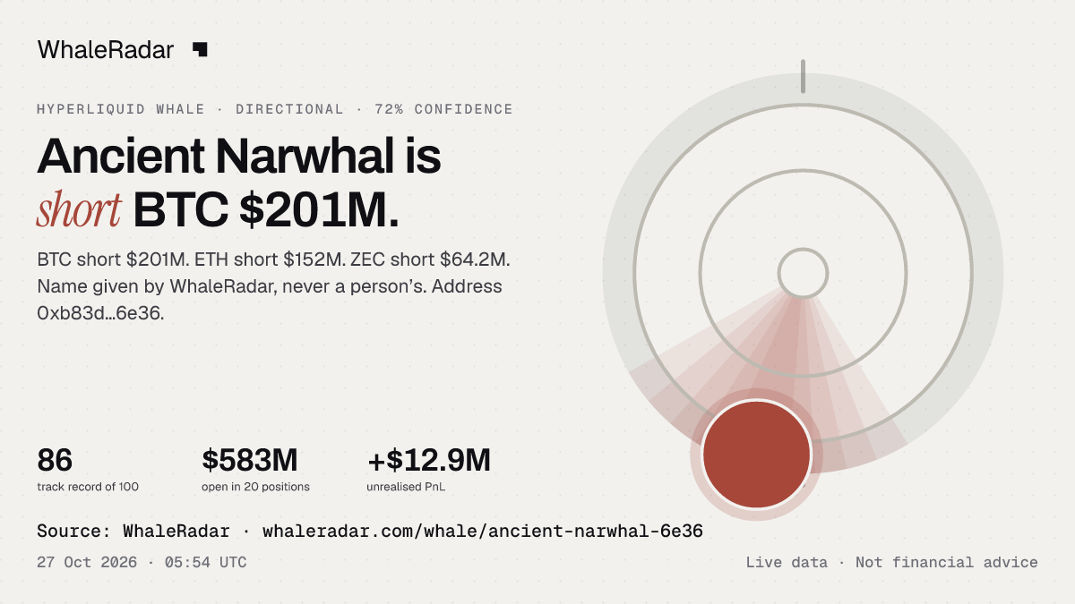 Ancient Narwhal: 글리프, 트랙 레코드, 가장 큰 포지션, 기사에 바로 쓸 수 있습니다.