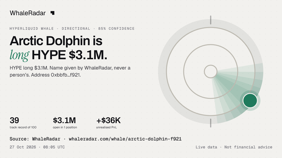 Arctic Dolphin: 글리프, 트랙 레코드, 가장 큰 포지션, 기사에 바로 쓸 수 있습니다.