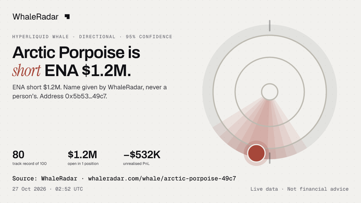 Arctic Porpoise: its glyph, its record and its largest positions, ready for your story.