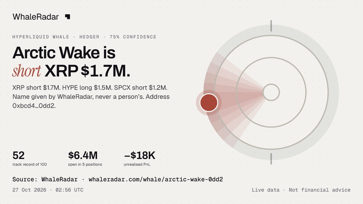 Arctic Wake: its glyph, its record and its largest positions, ready for your story.