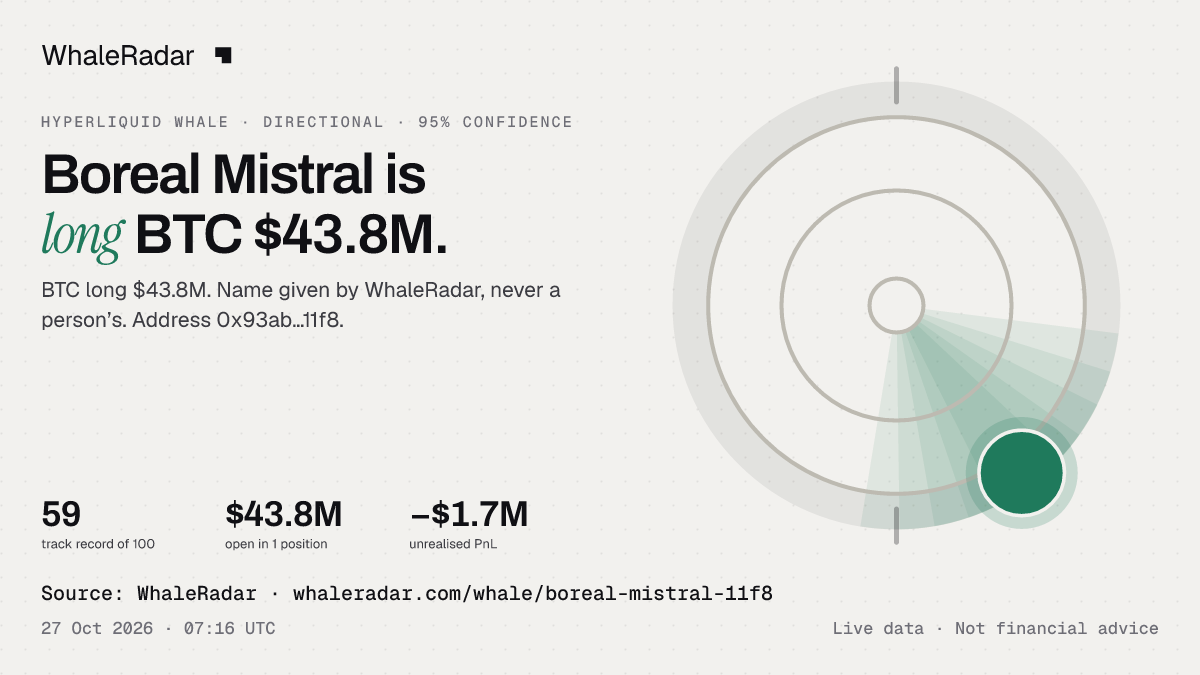 Boreal Mistral: 글리프, 트랙 레코드, 가장 큰 포지션, 기사에 바로 쓸 수 있습니다.