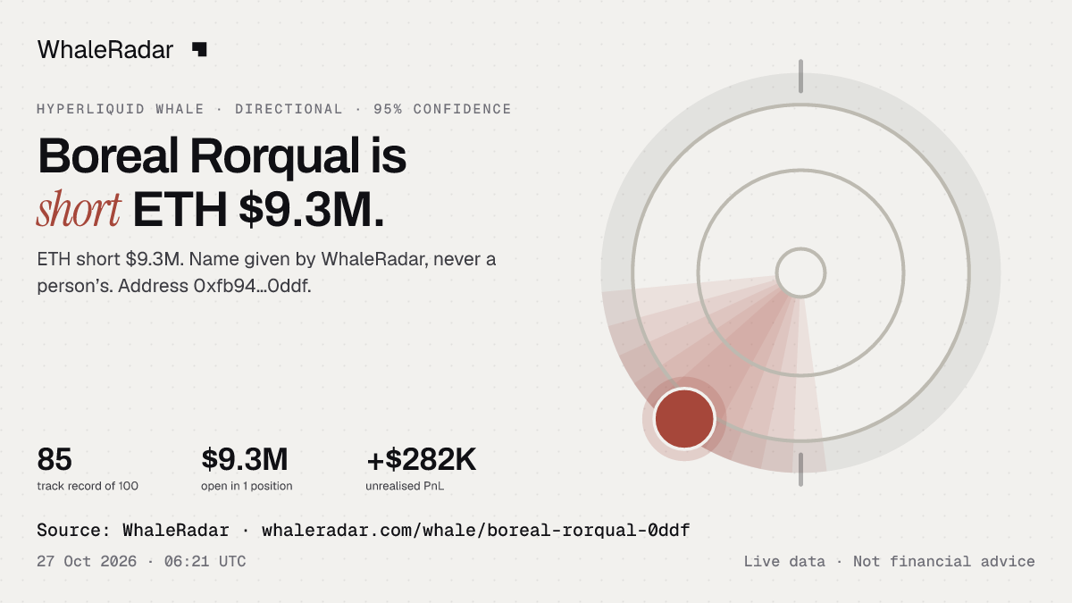 Boreal Rorqual: 글리프, 트랙 레코드, 가장 큰 포지션, 기사에 바로 쓸 수 있습니다.