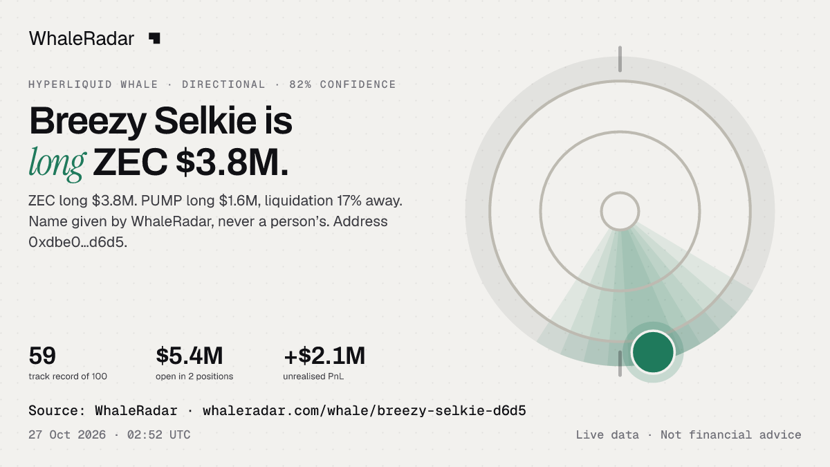 Breezy Selkie: its glyph, its record and its largest positions, ready for your story.
