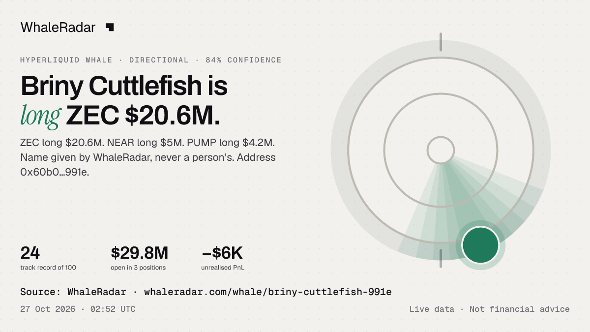 Briny Cuttlefish: its glyph, its record and its largest positions, ready for your story.