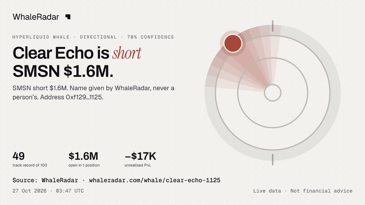 Clear Echo: its glyph, its record and its largest positions, ready for your story.