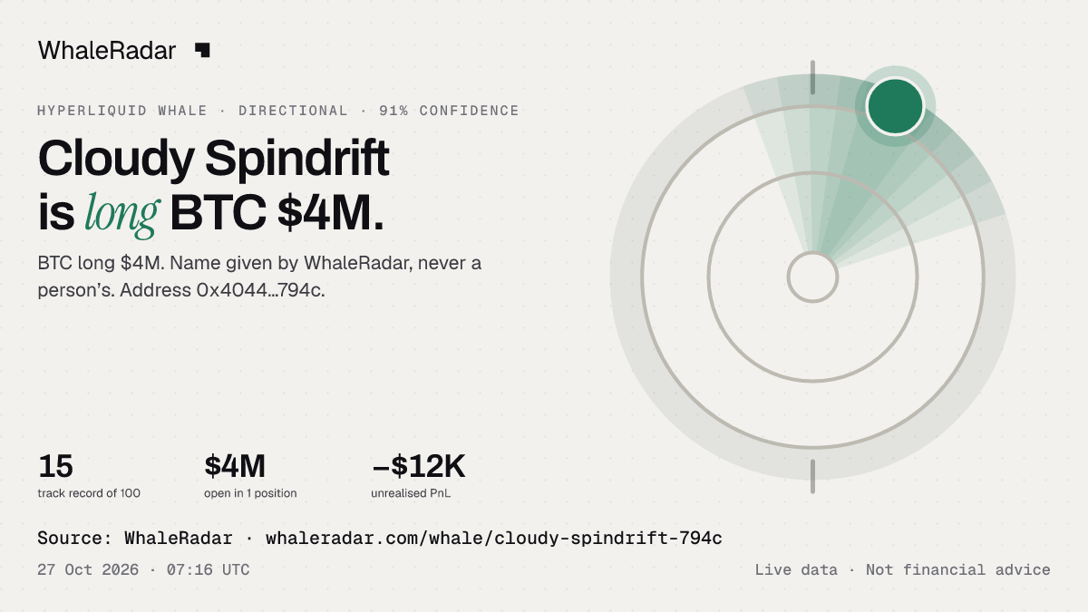 Cloudy Spindrift: 글리프, 트랙 레코드, 가장 큰 포지션, 기사에 바로 쓸 수 있습니다.