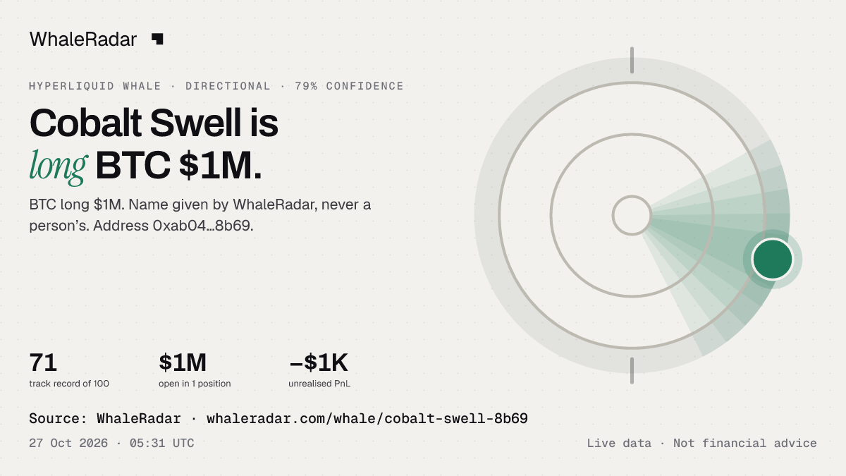 Cobalt Swell: 글리프, 트랙 레코드, 가장 큰 포지션, 기사에 바로 쓸 수 있습니다.