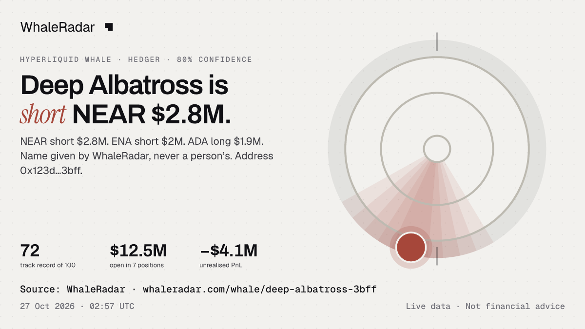 Deep Albatross: its glyph, its record and its largest positions, ready for your story.