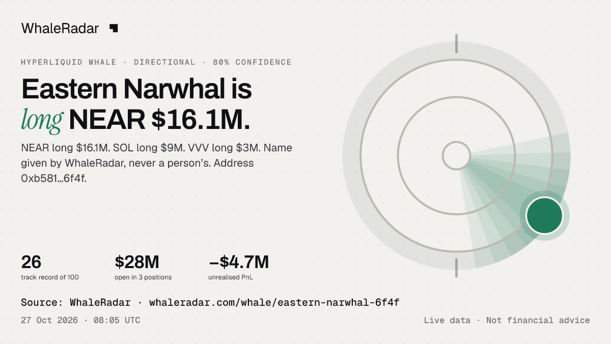 Eastern Narwhal: 글리프, 트랙 레코드, 가장 큰 포지션, 기사에 바로 쓸 수 있습니다.