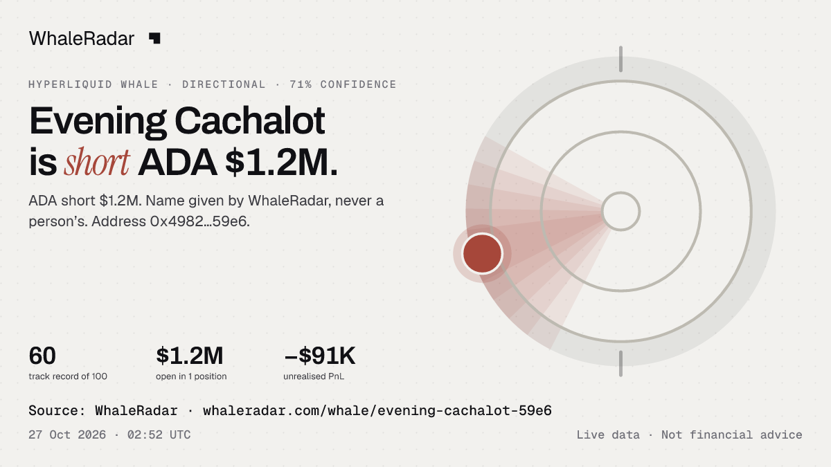 Evening Cachalot: its glyph, its record and its largest positions, ready for your story.