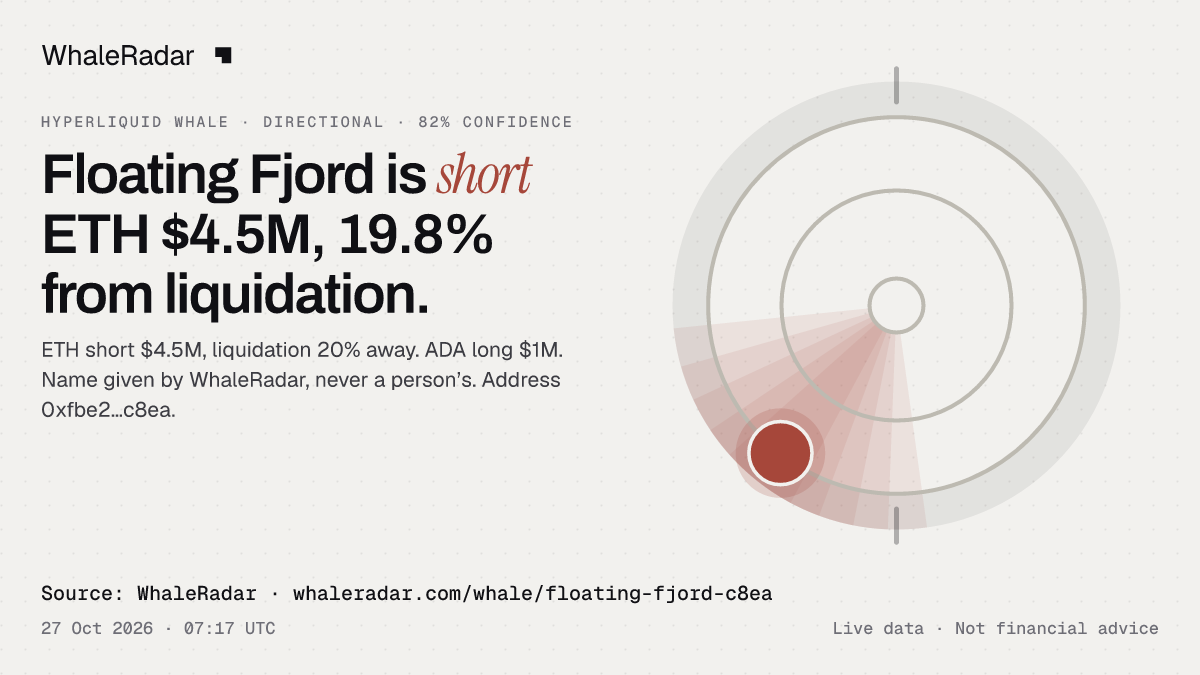 Floating Fjord: 글리프, 트랙 레코드, 가장 큰 포지션, 기사에 바로 쓸 수 있습니다.