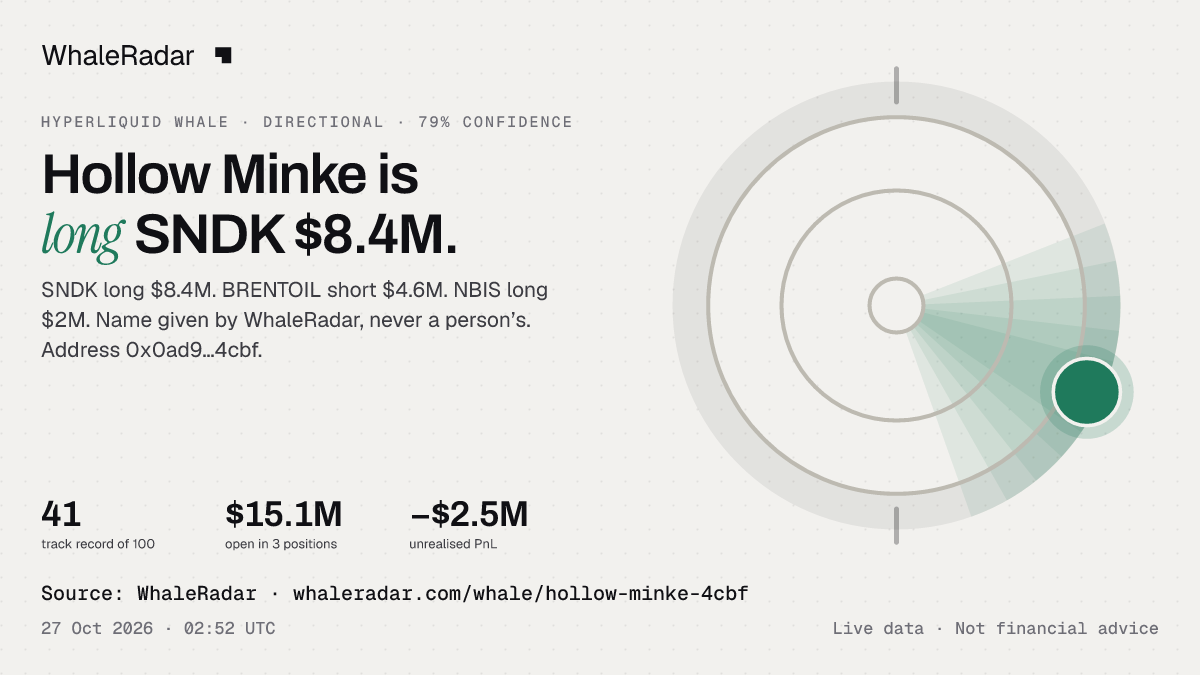 Hollow Minke: its glyph, its record and its largest positions, ready for your story.
