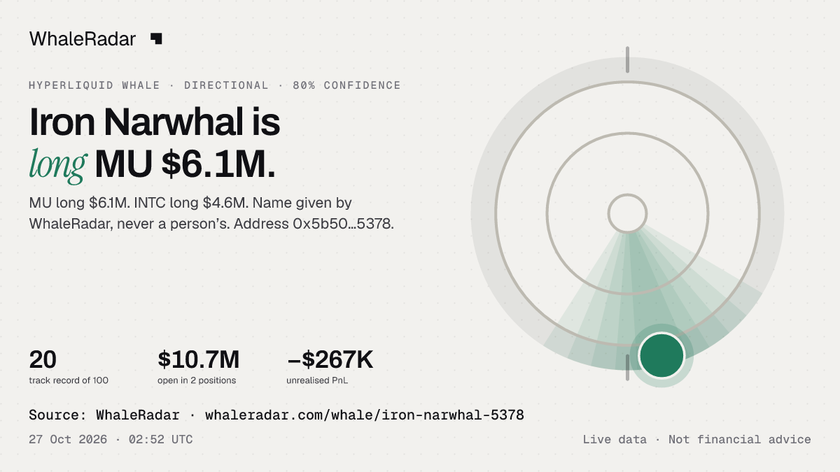 Iron Narwhal: its glyph, its record and its largest positions, ready for your story.