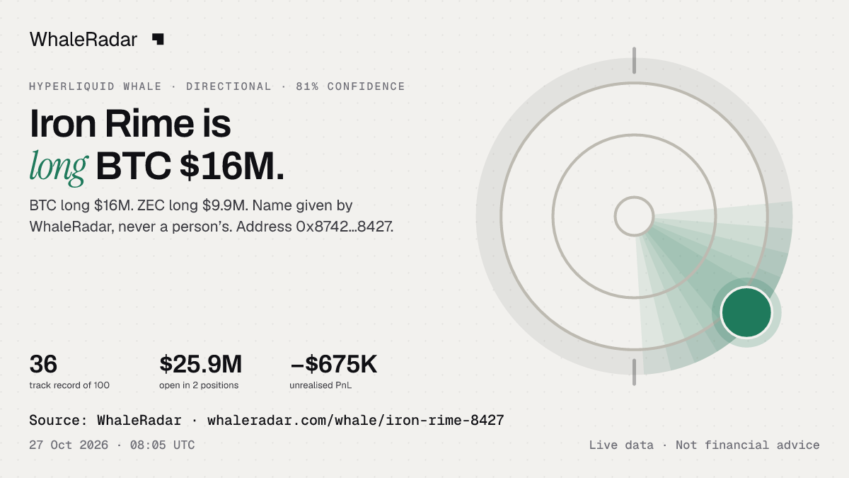 Iron Rime: 글리프, 트랙 레코드, 가장 큰 포지션, 기사에 바로 쓸 수 있습니다.